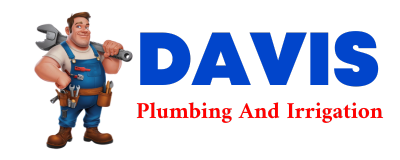 Trusted plumber in SATSUMA